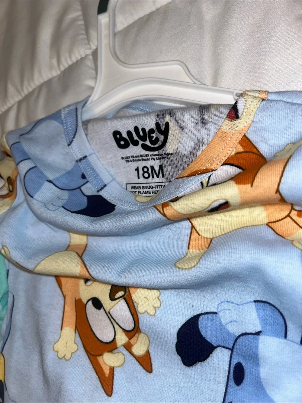 Bluey Mint Green Kids' Character Pajama Set - Long Sleeve Top & Pants Set
